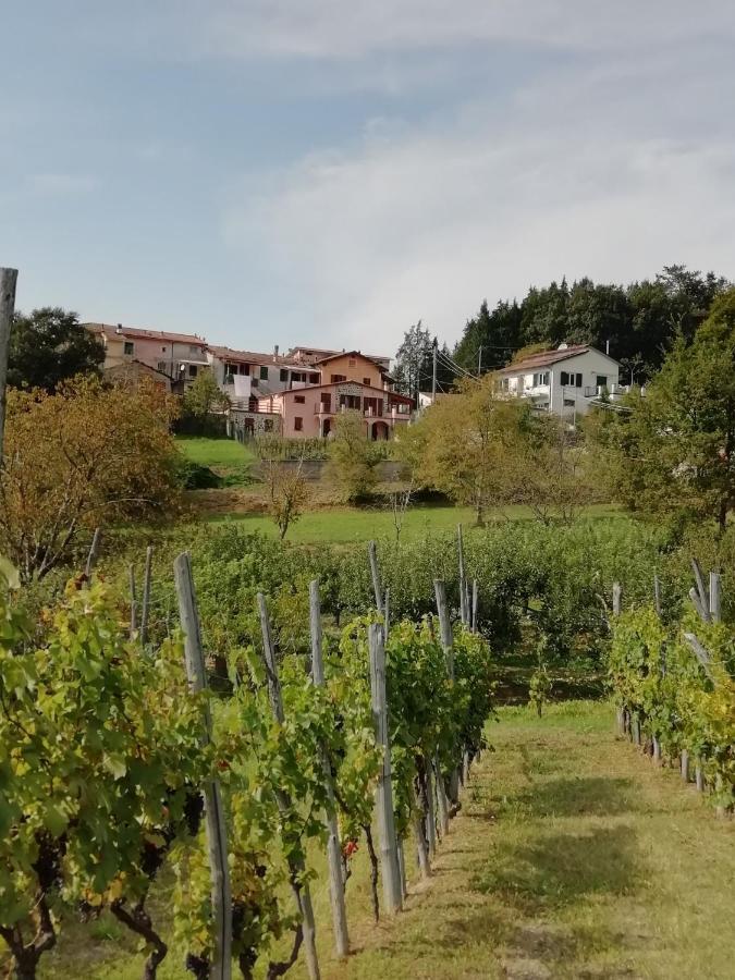 Lissahouse Agriturismo San Pietro Vara Dış mekan fotoğraf